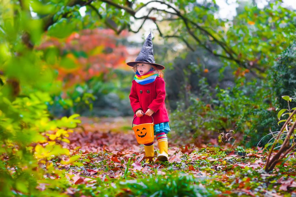 Trick or Treat