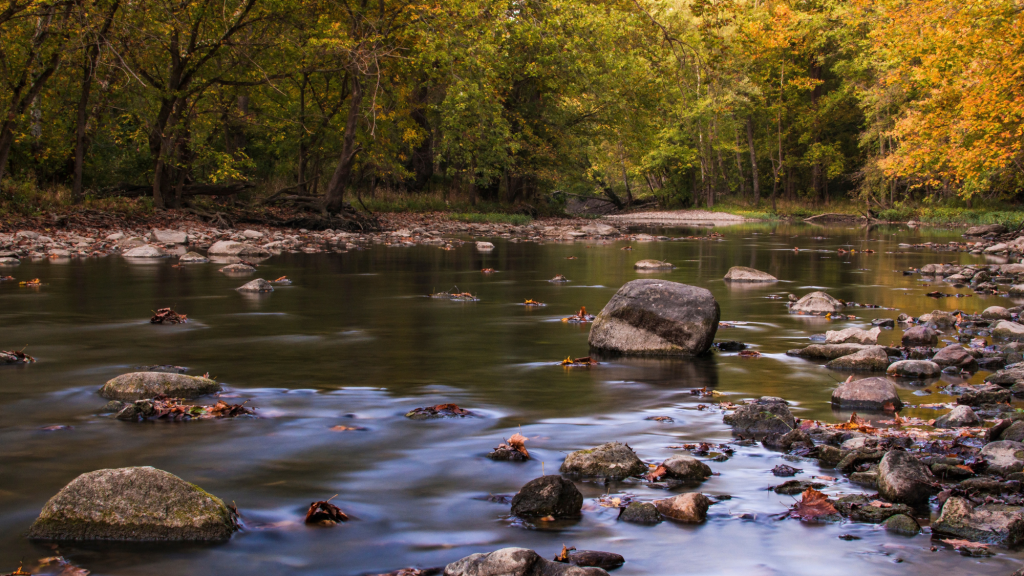 Darby Creek Day