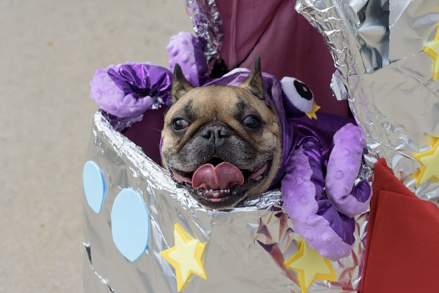 Wag O Ween