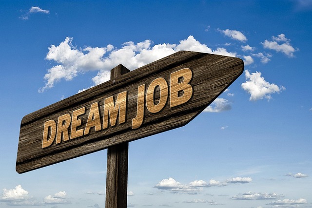 Career Consultants with Ohio Means Jobs: Session 1